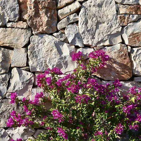 Trullo Vittoria Villa Ostuni
